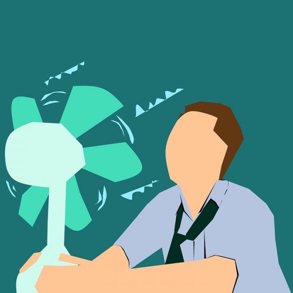 conseils pour canicule